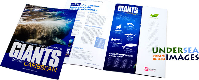 case-giantscaribbean