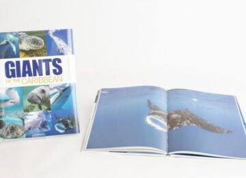 giants-of-the-caribbean-e1610722624458